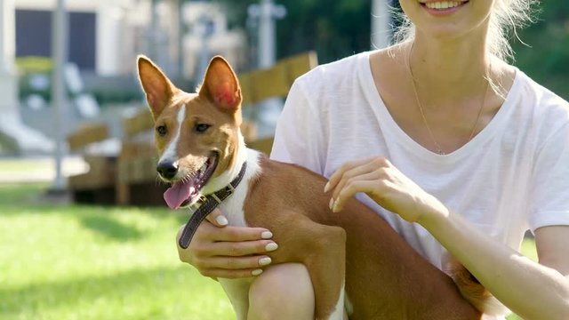 Pets. Happy young blonde woman is stroking her basenji dog and smiling. 4K