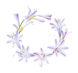 Fototapeta na wymiar Wreath from little purple flowers. Circle frame with blue flowers isolated on white background