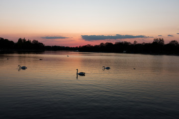 Obraz na płótnie Canvas sunset lake 