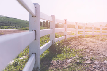 White concrete fence in farm field
