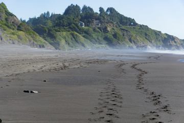 Footsteps in the black sand of the Lost Coast backpacking trail in California