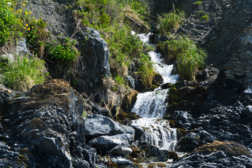 Obraz premium A spring waterfall flows onto the black sand of the Lost Coast backpacking trail in California