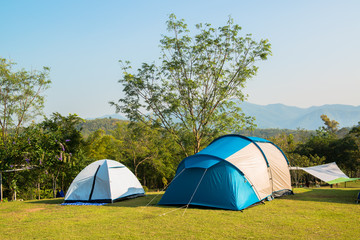 Tent on the grass green.