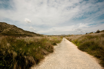 Road in the field