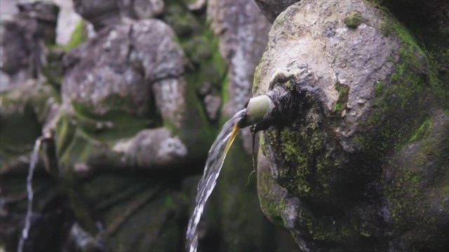 Holy Fauntain in the wild tropical jungle, detailing the weathered surface with white fungus and moss. Lush vegetation and Balinese temple on the background. Slow tracking shot