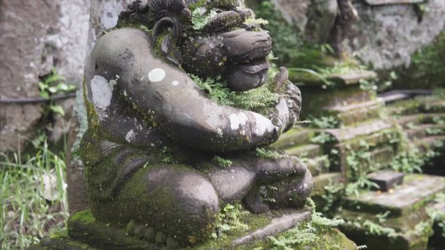 Sculpture in the wild tropical jungle, detailing the weathered surface with white fungus and moss. Lush vegetation and Balinese temple on the background. Slow tracking shot