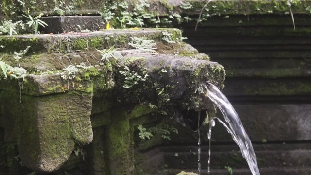 Holy Fauntain in the wild tropical jungle, detailing the weathered surface with white fungus and moss. Lush vegetation and Balinese temple on the background. Slow tracking shot