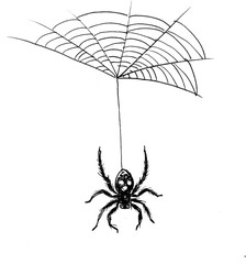 Ink black and white drawing of a spider on web