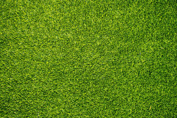 Plakat Fresh and green grass for background.