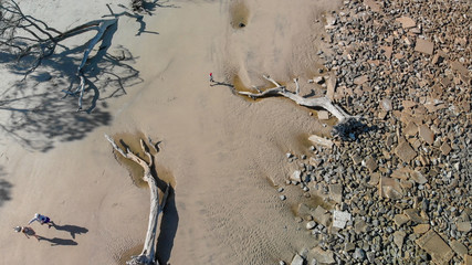 Aerial downward view of Jekylli Island and Driftwood Beach, Georgia - USA