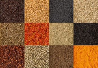 Collage of different spices background. Collection of spices