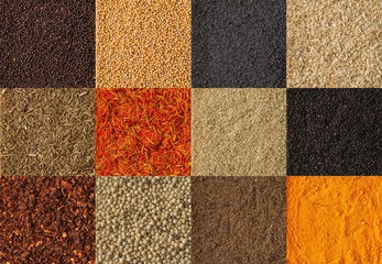 Collage of different spices background. Collection of spices