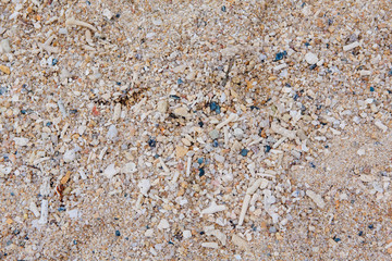 Sea shell and stone pieces texture