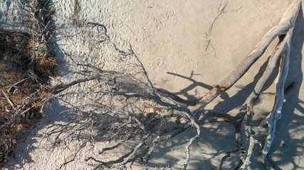 Aerial view of Driftwood Beach in Jekyll Island, Georgia