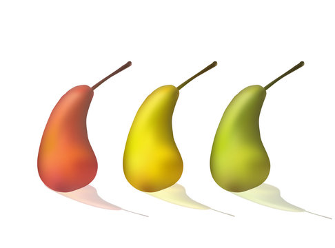 Set of pears. Green, yellow, red. Ripe fruit Vector illustration Healthy diet