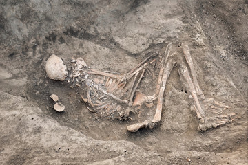 Archaeological excavations and finds (bones of a skeleton in a human burial),   a detail of ancient research, prehistory.