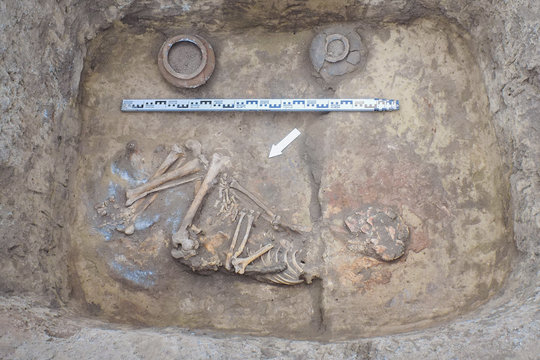 Archaeological excavations. Top view of the burial of a person, bones, skull with two ritual ceramic pots and a scale ruler.