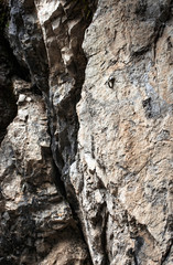 detail limestone rock with a metal rivet