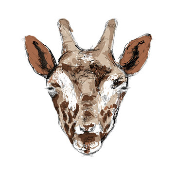 Hand-drawing animal head vector logo icon illustration
