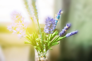 Blurred Lavender Flower Crochet in the morning light and soft focus