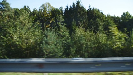 Highway Car Side View of Green Forest in Slow motion 4K