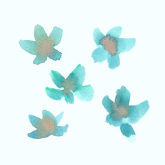 Set of five simple abstract turquoise blue forget-me-not flowers painted in watercolor on clean white background