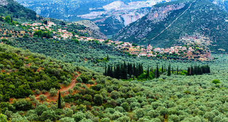 Valley of Amfissa,  is a town in Phocis, Greece, part of the municipality of Delphi