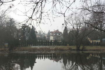 Silhouette environment foggy lake forest landscape