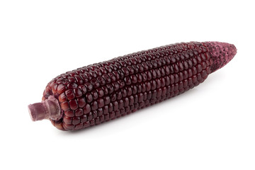 Fresh purple corns isolated on a white background