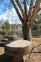 Stone tables next to a tree in a park
