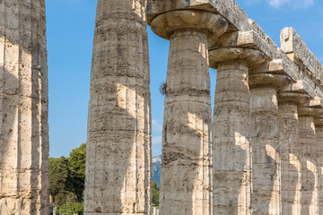 The greek temple, Paestum, Italy.