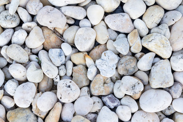 white pebble stone background