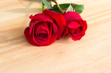close up of beautiful red rose on wood desk