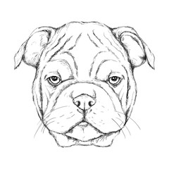 Outline hand-drawing animal head vector logo icon illustration
