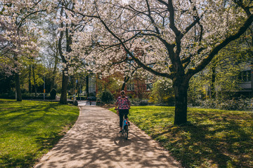 Obraz premium Spring season in Luxembourg