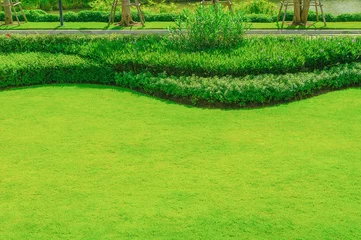 Poster Garden landscape design, Green lawn, The front lawn for background, Garden on the front lawn Decking, Landscape formal front yard has been beautifully designed © singjai