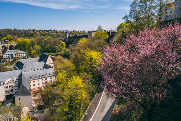 Obraz premium Spring season in Luxembourg