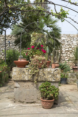 Fototapeta na wymiar Pozzo in pietra con piante nel giardino