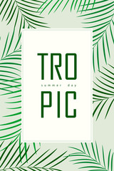 Trendy Summer Tropical Leaves Vector Design