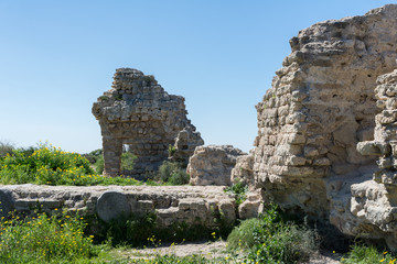 Naklejka premium Visiting Ashkelon National Park