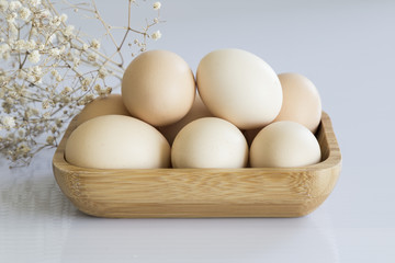isolated eggs on the ground. eggs concept for kitchen art.