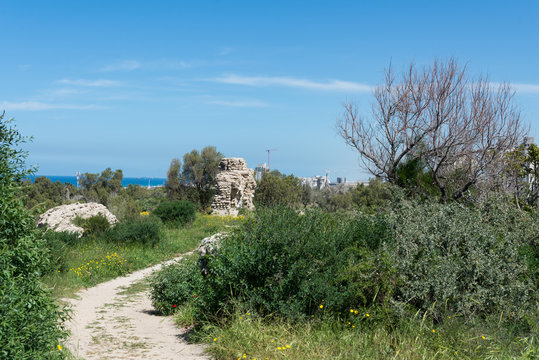 Visiting Ashkelon National Park