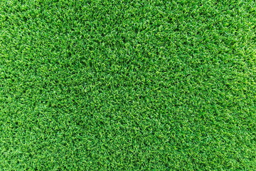 Fototapeta premium Grass field texture for golf course, soccer field or sports background concept design. Artificial grass.