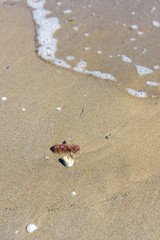 Magic of the golden beach of Lignano Sabbiadoro