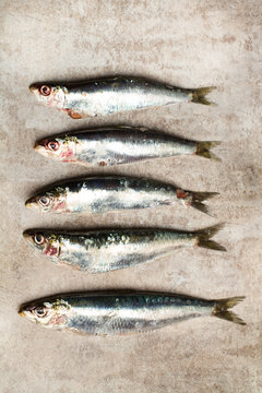 Sardinas frescas y naturales sobre un fondo gris. Vista superior y de cerca