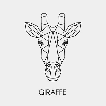 Vector illustration. Abstract polygon the head of a giraffe. Geometric line African animal. © Marinika