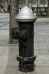 Water Hydrant