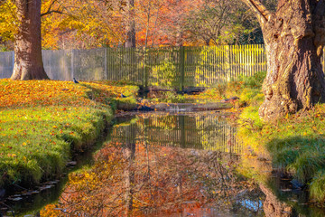 Autumn scene with pond in bushy park in London