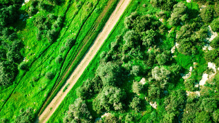 Aerial view of a green landscape in sunny day. Nature background.