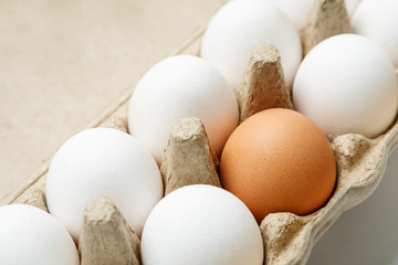 Brown egg among white eggs in paper tray